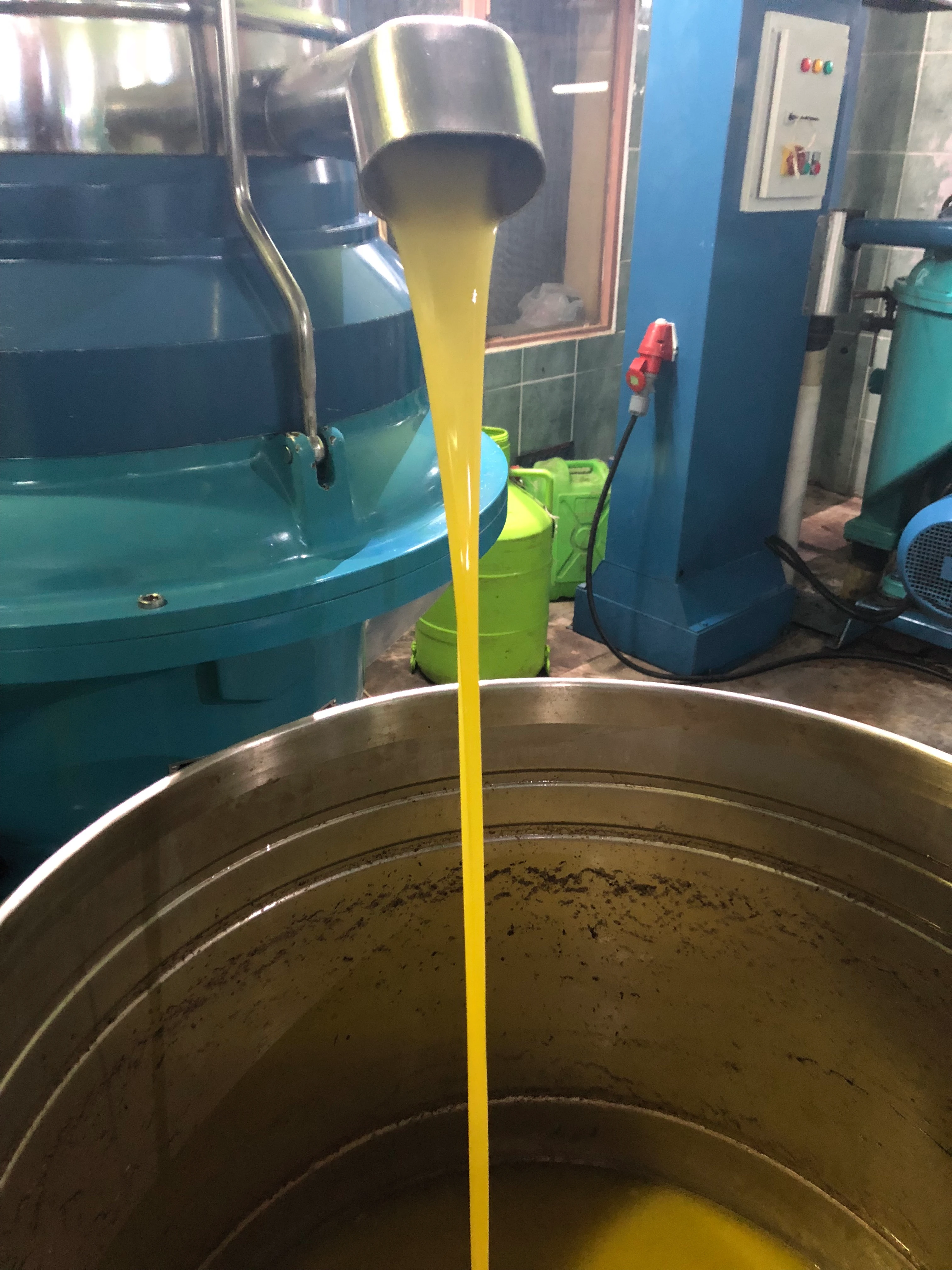 Altın Yağ Dökülüyor